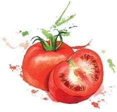 tomato Photo - Tosco Pizza And Italian Restaurant